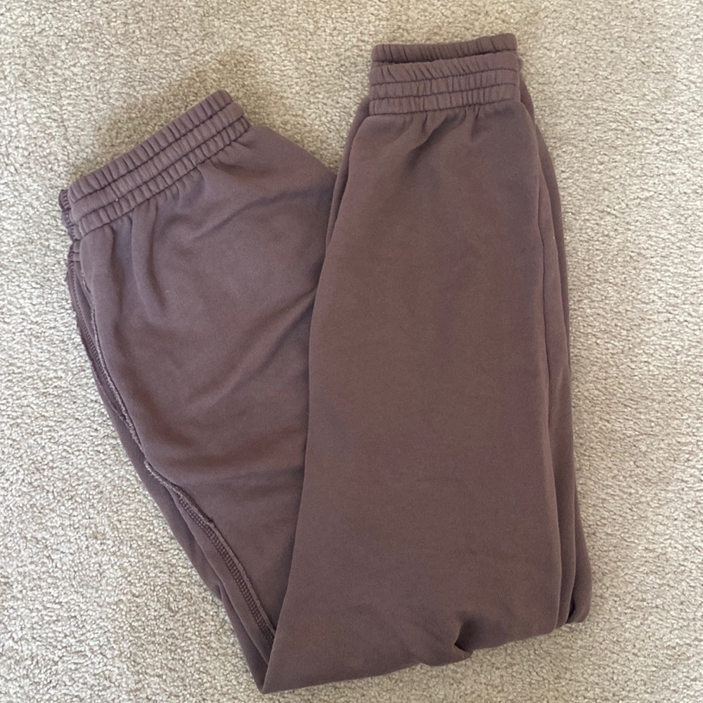 NWOT Aerie jogger sweatpants